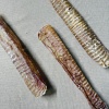 trachea_tubes
