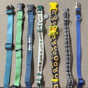 medium_with_various_clasps