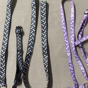 multicolor_bone_with_collar