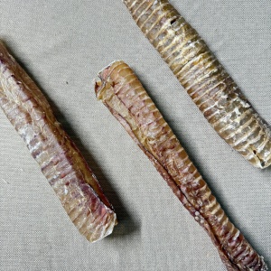 trachea_tubes